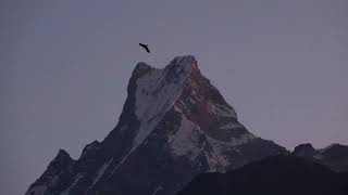 Trek to Fishtail Mountain