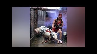 Adam Bu Köpeği Tutabileceğini Düşündü.. İstenmeyen Bir Şey Oldu Adam Bu Köpeği Tutabileceğini Düşündü.. İstenmeyen Bir Şey Oldu