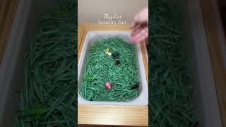 Bug Hunt Sensory Bin for Curious Kids #classroomsetup #mom #diy #preschoolmom #art #classroom