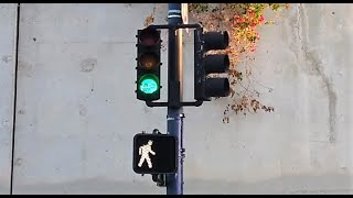 (AFTER) New McCain Countdown Pedestrian Signal (Hawthorn St & State St)