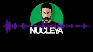 NUCLEYA - New Delhi Nuttah feat  Delhi Sultanate [Bass Boosted]