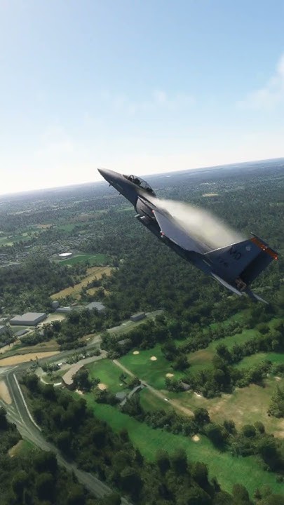 How Fast Can An F 15 Eagle Lap Circuit De La Sarthe At Le Mans these-animals-can-kill-a-lion-youtube