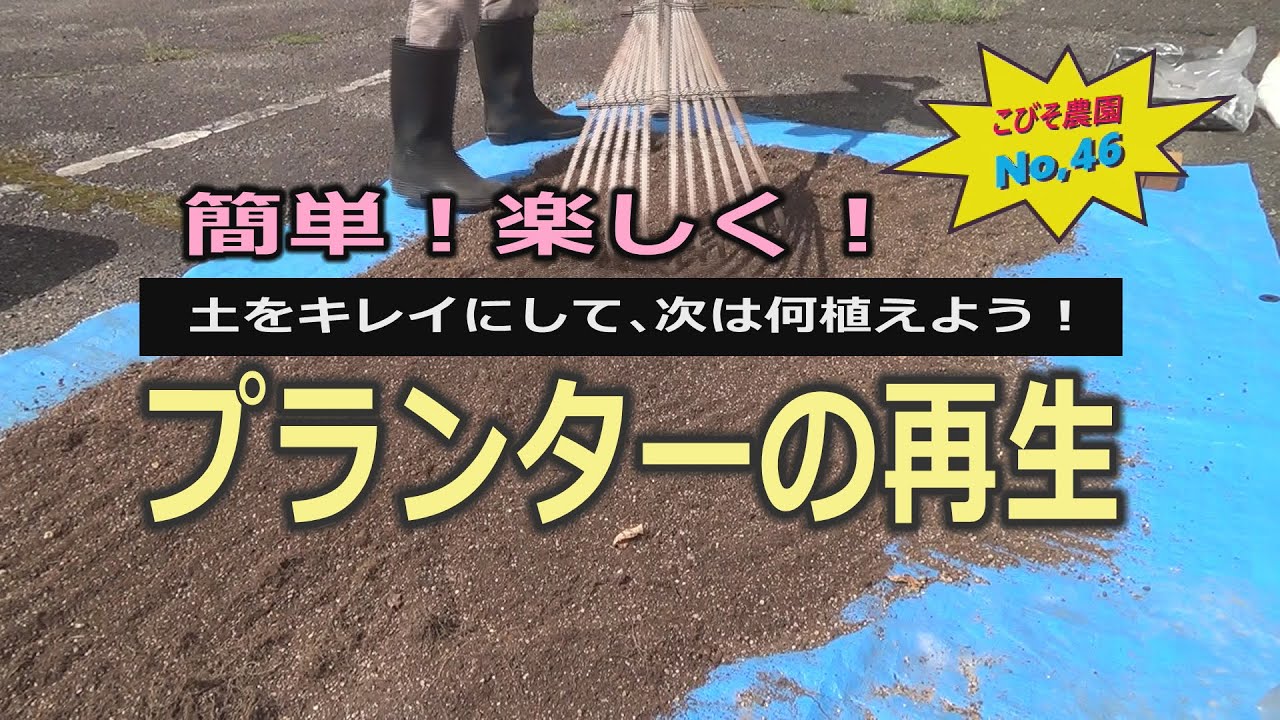 ｛家庭菜園｝プランターの再生 こびそ農園 No,46　2020.9.25