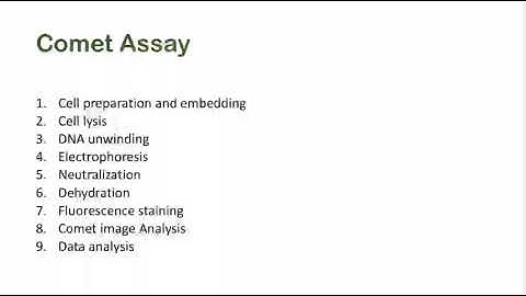 Comet Assay Procedure  / protocol | DNA Damage | Comet assay analysis