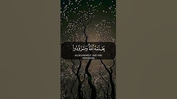 الحج أشهر معلومات | سورة البقرة | القارئ فهد البواردي