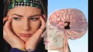 Jule Of The Orient Main Containt Of Saponins