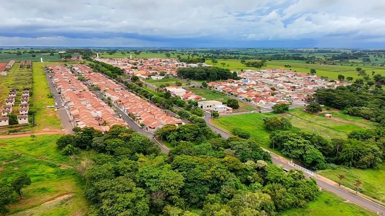 Neo 1 a todo vapor imagens top demais 