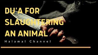 Download Lagu Authentic Dua - Slaughtering and Sacrificing An Animal MP3