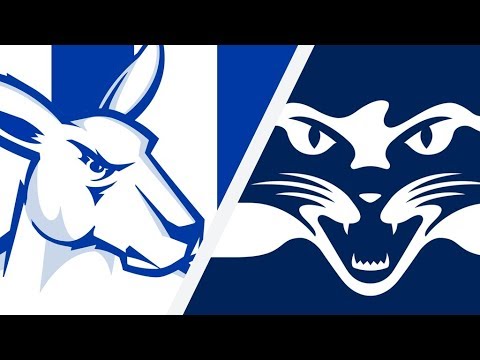 football score Match highlights (Round 8, 2019)