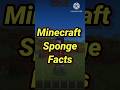 Minecraft Sponge Facts 🔥 #shorts #minecraft #ytshorts