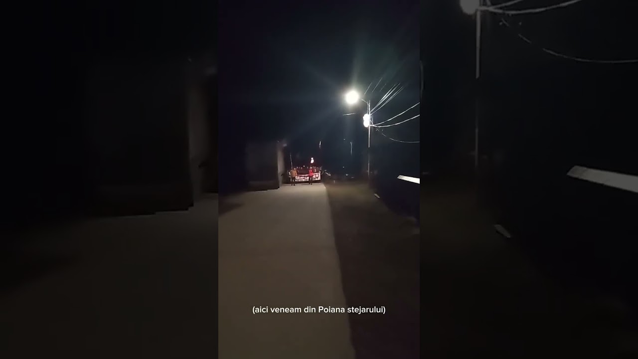 Capra Stejaru 17 decembrie