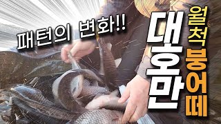 대호만 패턴의 변화!! 밤낚시에 떡밥만 공격하는 월척들~!! by 비바붕어TV 11,752 views 1 month ago 17 minutes