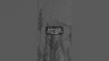 القارئ طارق محمد.... سورة الرعد - اية 11