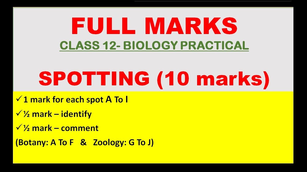 how-to-score-full-marks-in-spotting-practical-exam-youtube