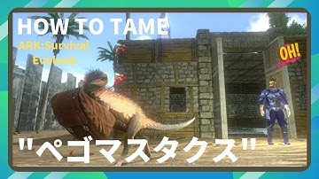 ペゴマスタクス Youtube