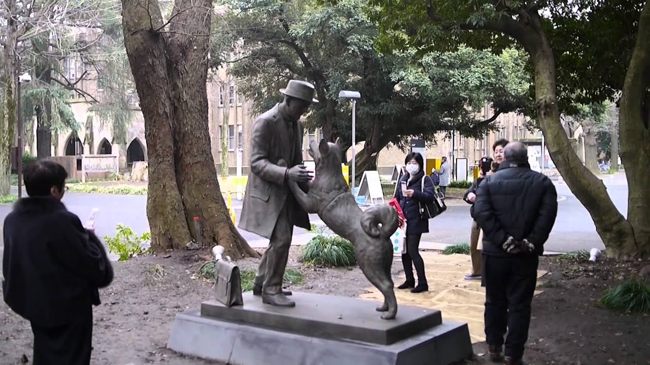 Hachiko's new statue is now open to the and we've got pictures and video our visit | SoraNews24 -Japan News-