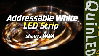 QuinLED: Digital White LED Strip (sk6812 WWA) (Warm White, Cold White, Amber)