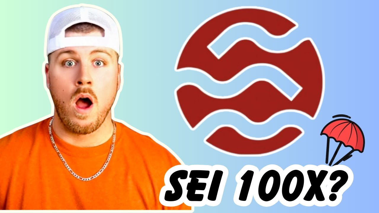 SEI Is the Next 100x Crypto | The Ultimate SEI Onboaring GUIDE (Farm These  Airdrops NOW!)
