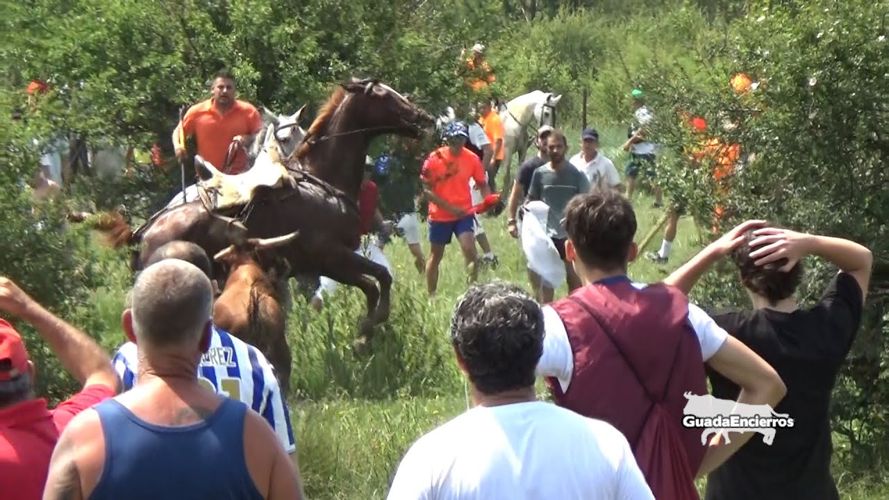 Soria (La Saca) Buen encierro 29-06-2023 GuadaEncierros