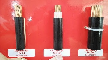 Cáp bọc hạ thế CXV 1pha 10mm2, CXV 35mm2, CXV 50mm2, CXV 95mm2 0.6/1KV Cadivi