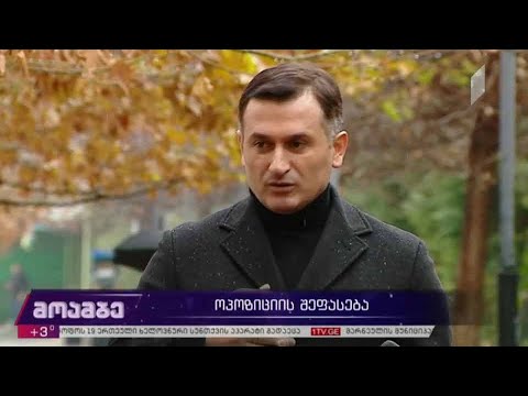 პარტიების დაფინანსების წესი - ოპოზიციის შეფასება