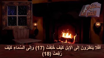 سورة الغاشية _ الآية _ 17 + 18