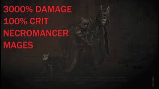 3000% DAMAGE NECROMANCER MAGES BUILD CONCEPT