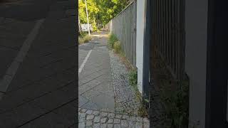 Yaşlan Benimle Resul Dindar💘💘 Söylesin Biz Dinleyelim 🌼🕊Yer Berli̇n🇩🇪 Ben Reyhan 🇹🇷 Resimi