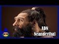 ¿Tenemos ADN Neanderthal?