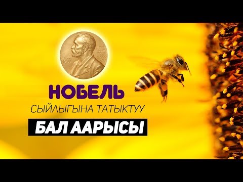 Video: Нобель сыйлыгына кайсы орус жазуучулары татыктуу болушкан