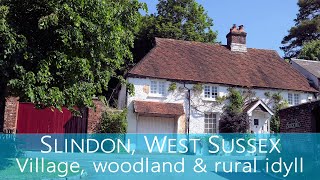 Slindon And Nore Wood, West Sussex Another Fabulous Walk