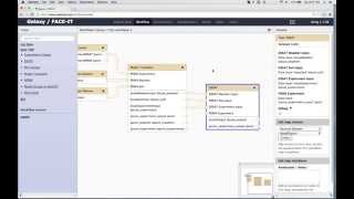 Creating an Easy-SIM workflow in FACE-IT