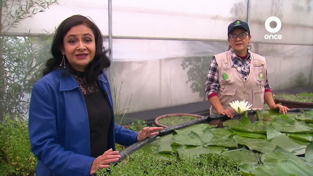 Factor Ciencia - Jardín botánico, un edén tropical (19/07/2022)