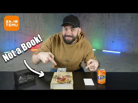 Hide your Money Challenge | Temu Edition