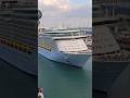 Freedom of the Seas sailing by in Miami #msccruises #royalcaribbean #youtubeshorts #vacation