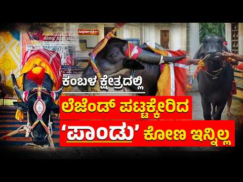 ಕಾಲಿನ ನ್ಯೂನತೆ ಇದ್ದರೂ ಓಟದಿಂದ ಅಭಿಮಾನಿಗಳ ಮನ ಗೆದ್ದಿದ್ದ ‘ಪಾಂಡು’ │Daijiworld Television