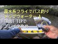 霞水系フライでバス釣りトップウォーター＆TROUT TIPでブレイク攻め