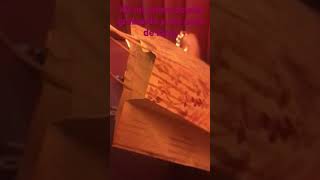 Aaaaa Mi Prima Estaba Grabando Y Me Pase De La Rralla