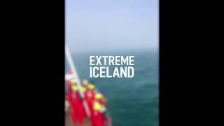 Humpback Whale Doing a 360 Spin!