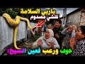 عين السيخ كلشي هرب من هول لي شافو لقاو اكبر افعى فدار مي يامنة ياربي السلامة 