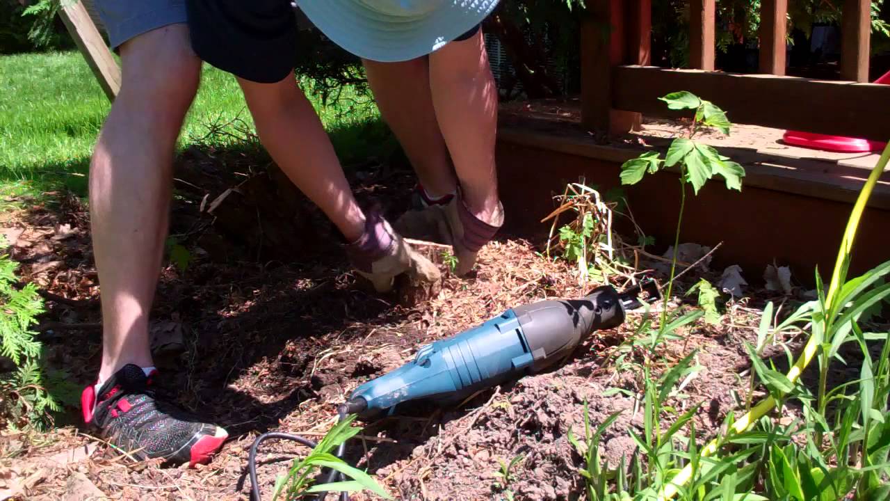 17 bushes and stumps removed, roots and all, with a floor jack YouTube