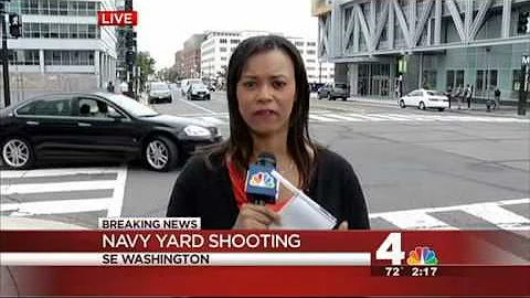 Sherrie Lawson News Interview after Washington Nav...