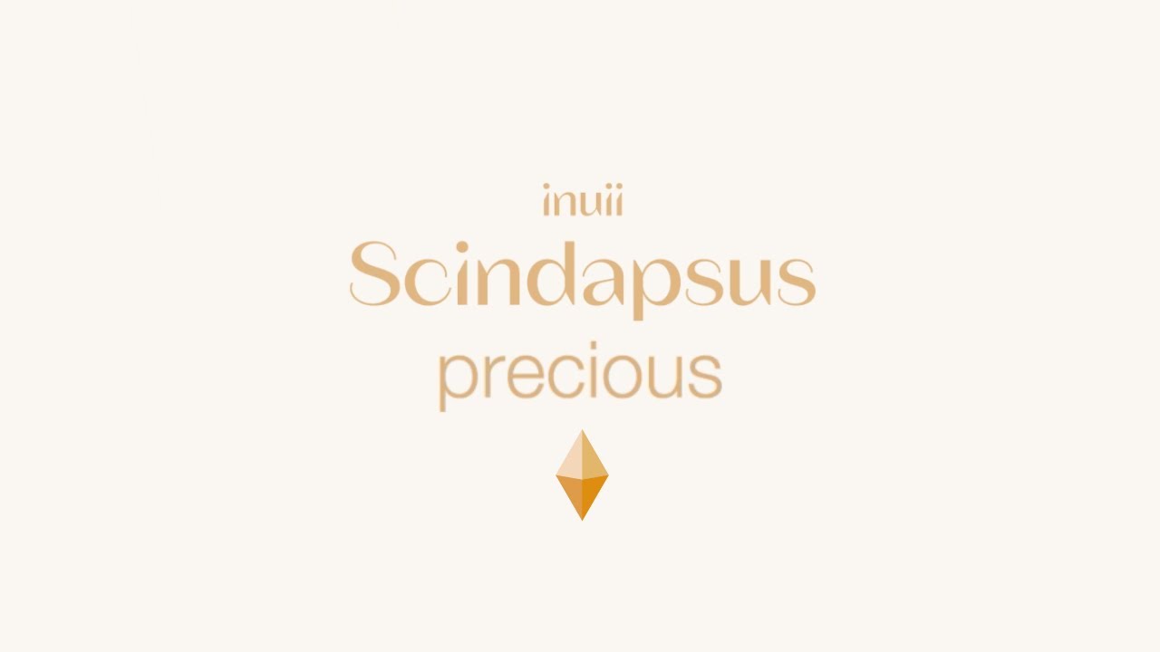Watch inuii - Precious (Official Visualizer) on YouTube Watch inuii - Precious (Official Visualizer) on YouTube