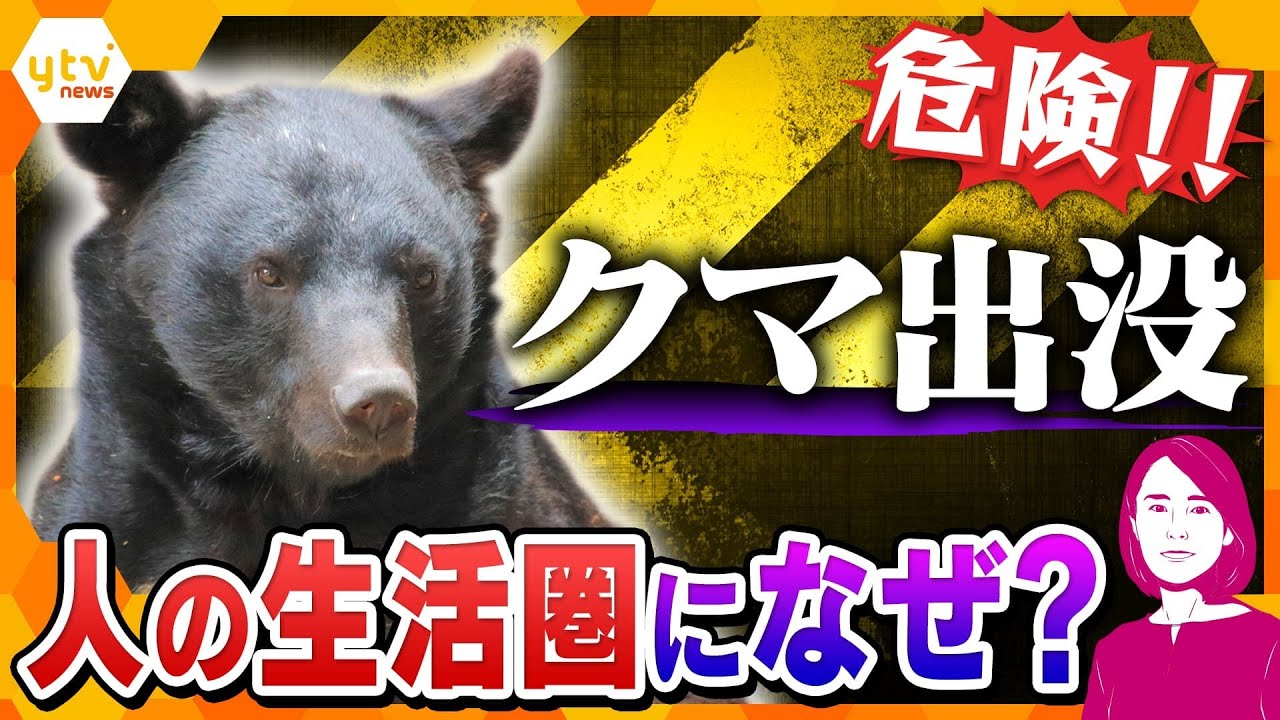 イブスキ解説】クマ出没注意！ 関西でも急増する“アーバンベア”の脅威