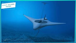 The Manta Ray Project Is Under Way... But What Is It? | Daily Scuba News (w/ Shaun)