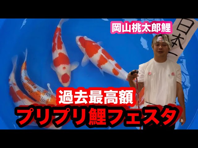 遼河鯉庵】 買わなきゃ大儲け！？岡山桃太郎鯉産のぷりぷり極上鯉を 