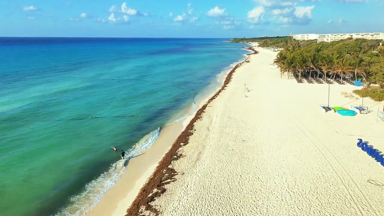 Hotel Sandos Playacar Riviera Maya | tomas aéreas dron