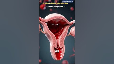 Hoe de menstruatiecyclus in het lichaam werkt 3DMedische animatie#voortplantingssysteem#shorts#me...