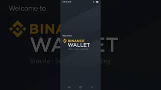 HOW TO PUT DBB TOKEN ON BINANCE WALLET  screenshot 4
