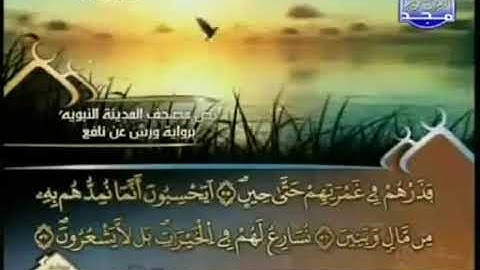 الجزء الثامن عشر 18 من القرآن الكريم بصوت الشيخ العيون الكوشي   برواية ورش عن نافع